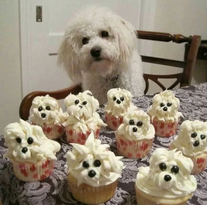 85 Irresistible Dog Moments Shared By This Community