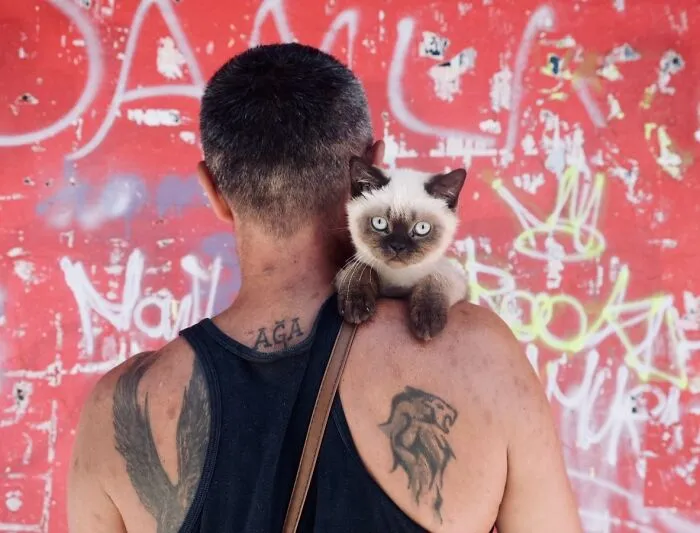 This Photographer Documents Street Cats, And Here Are His 30 Best Shots