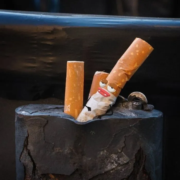 These Real-World Photos Get Tiny Doodles, And Everything Suddenly Looks Alive (77 Pics)