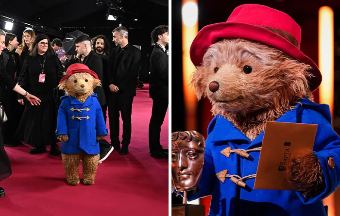 Paddington Bear’s Cameo Falls Flat As Audience Barely Reacts  