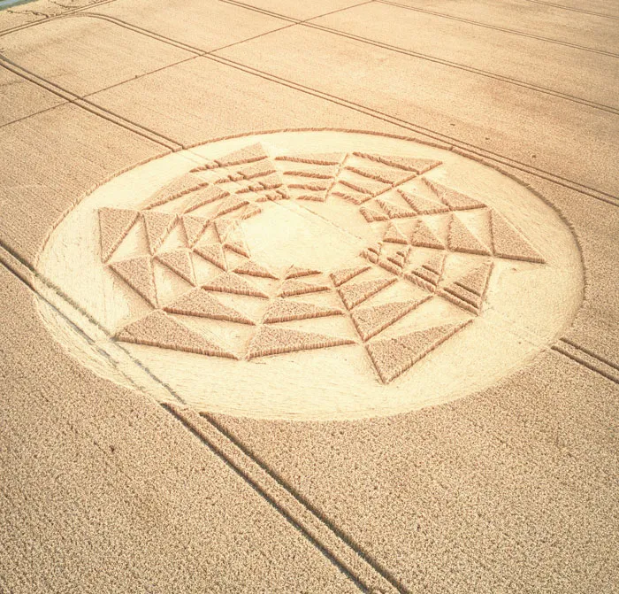 67 Creepy And Mind-Boggling Things That Were Mysteries Until Humans Finally Cracked The Case