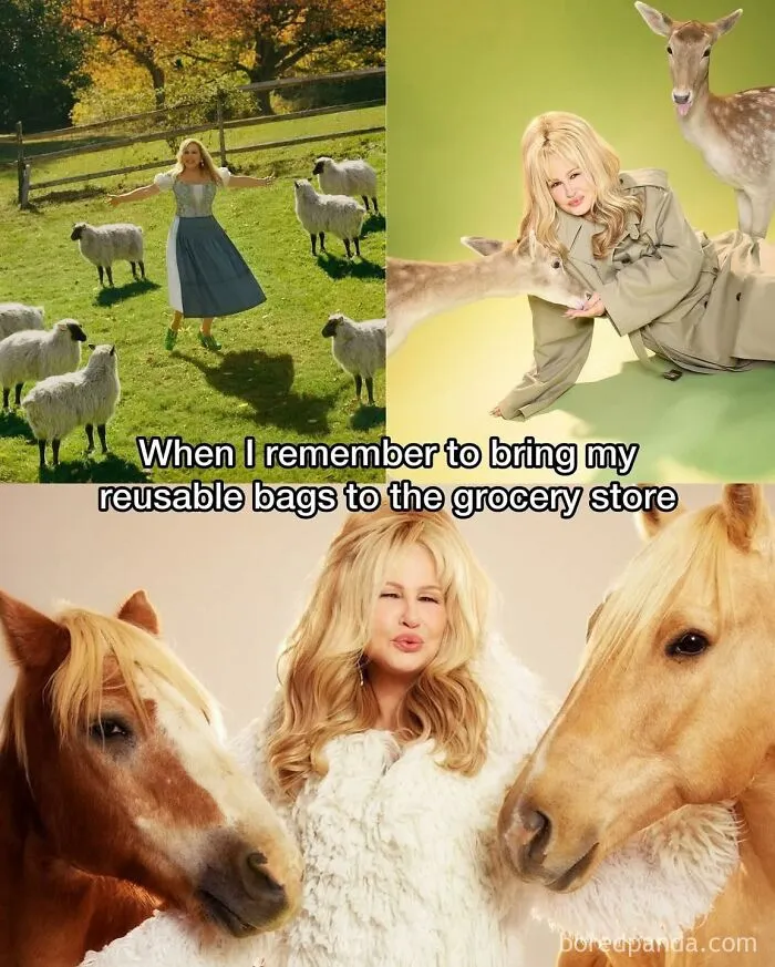 50 Memes That Range From Wild To "What Did I Just Read?"