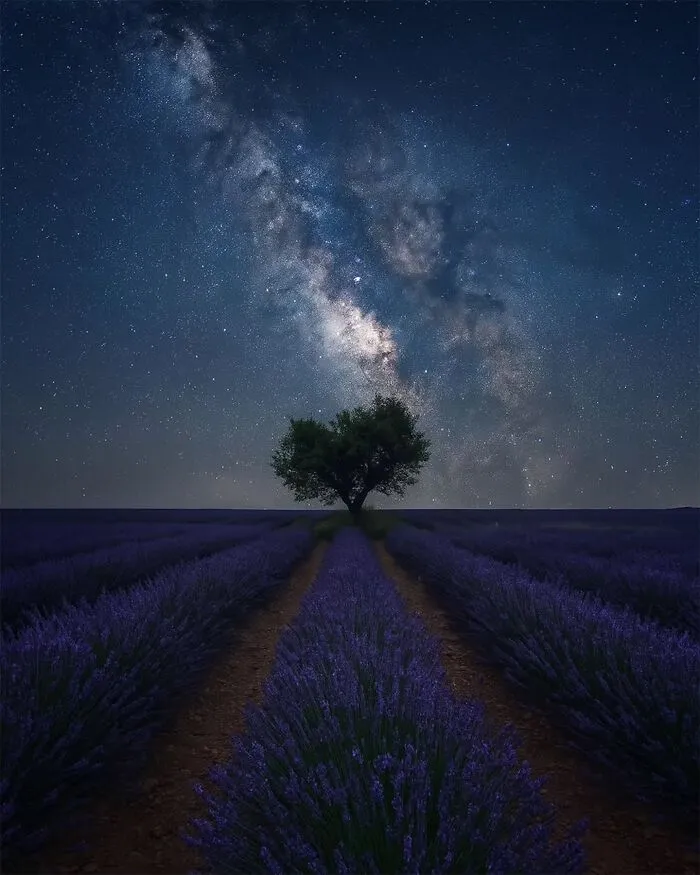 After-Dark Photos That Prove Darkness Can Be Beautiful (39 Pics)