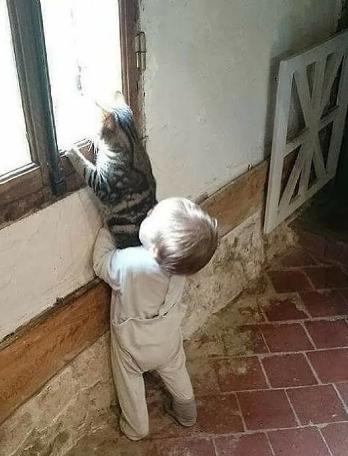 80 Random Pics That Don’t Need Context To Be Funny