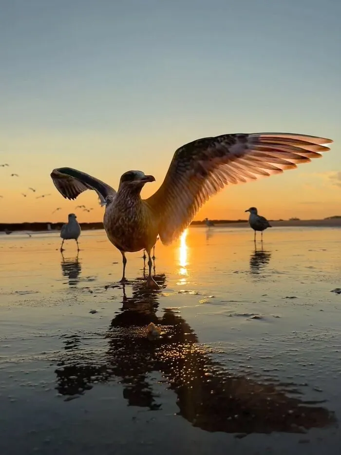 43 Jaw-Dropping Photos Shared By The ‘Best Sunset Pics’ Instagram Page