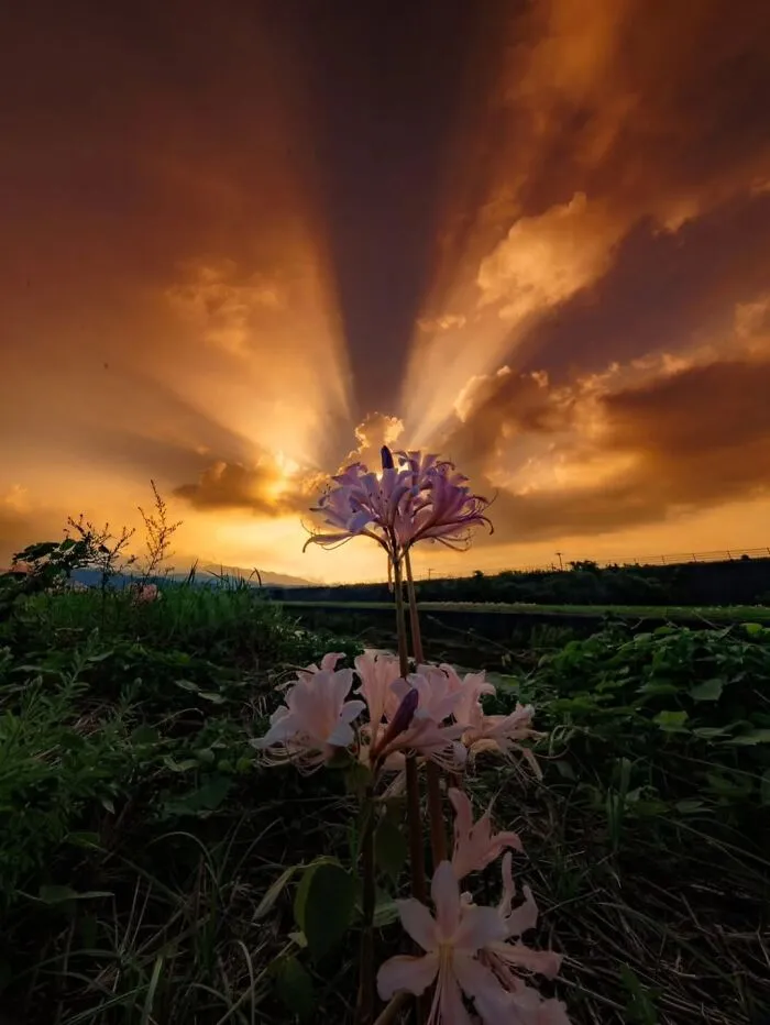 43 Jaw-Dropping Photos Shared By The ‘Best Sunset Pics’ Instagram Page