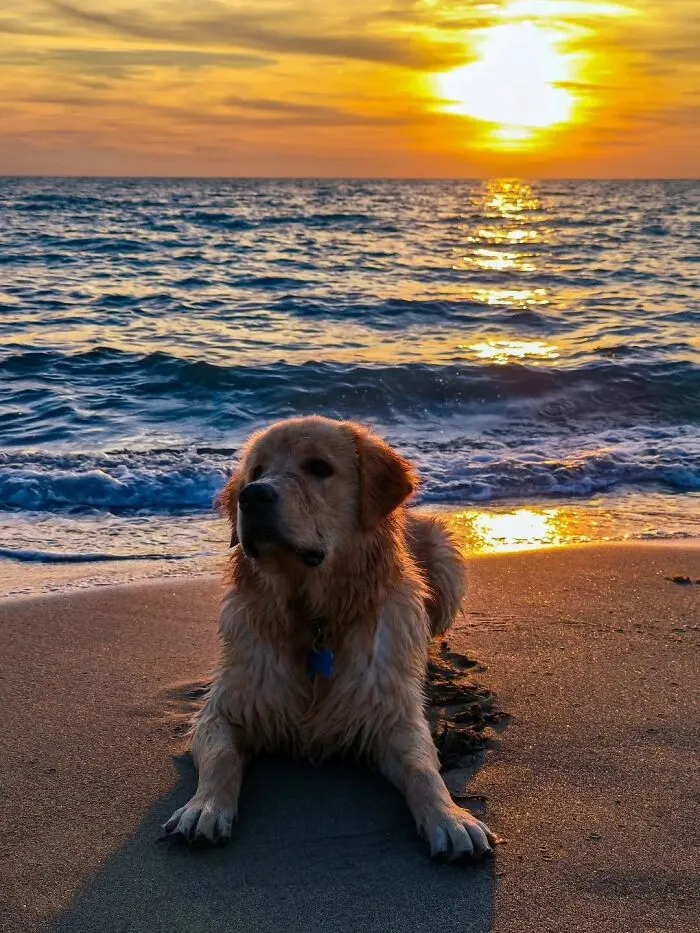 43 Jaw-Dropping Photos Shared By The ‘Best Sunset Pics’ Instagram Page