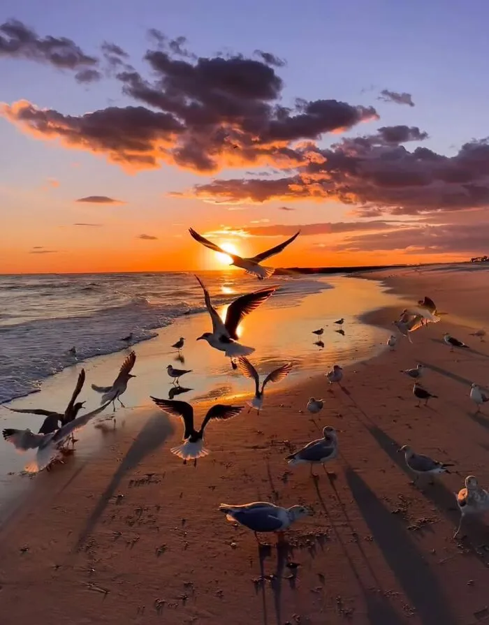 43 Jaw-Dropping Photos Shared By The ‘Best Sunset Pics’ Instagram Page