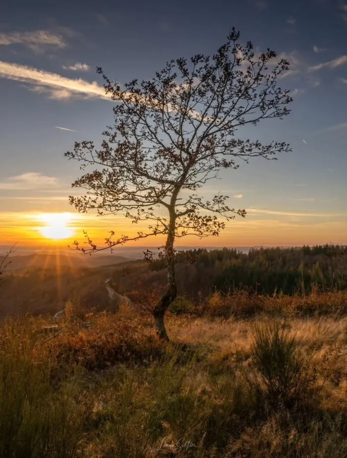 43 Jaw-Dropping Photos Shared By The ‘Best Sunset Pics’ Instagram Page