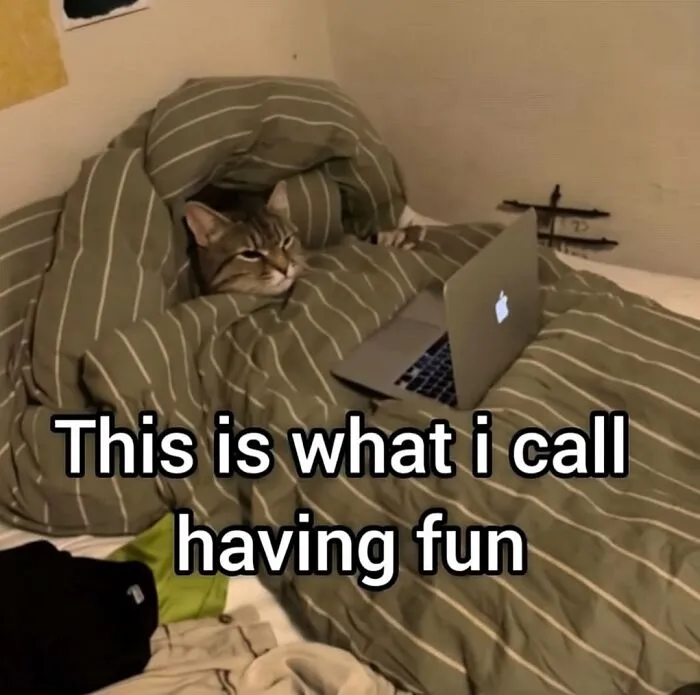 This Page Shares Its Funniest Cat Memes, And Here Are 85 Of The Best Ones