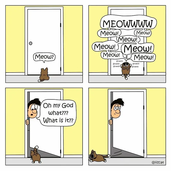 This Cartoonist Turns Everyday Cat Nonsense Into Hilarious Comics (29 New Comics)