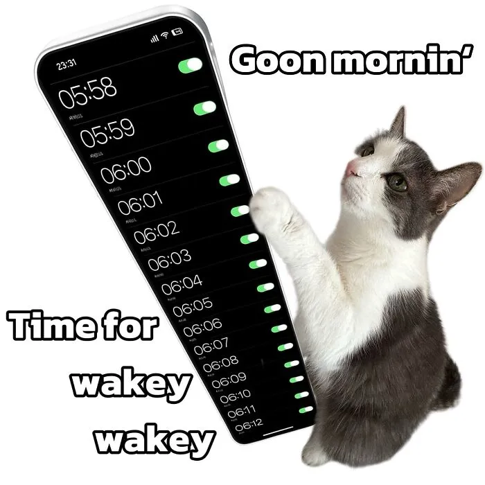 This Page Shares Its Funniest Cat Memes, And Here Are 85 Of The Best Ones