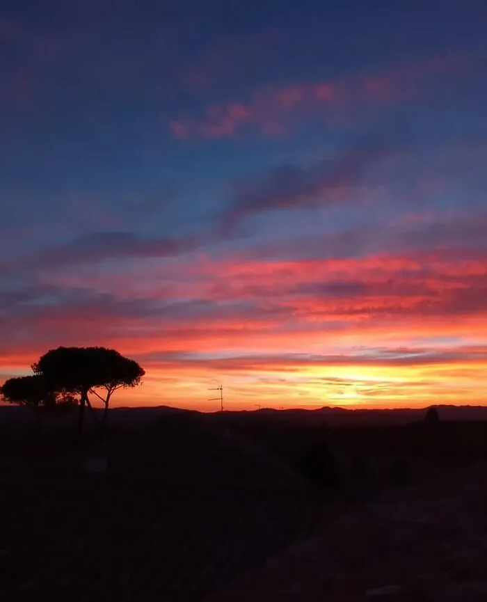 43 Jaw-Dropping Photos Shared By The ‘Best Sunset Pics’ Instagram Page