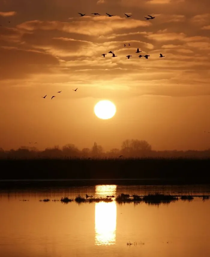 43 Jaw-Dropping Photos Shared By The ‘Best Sunset Pics’ Instagram Page