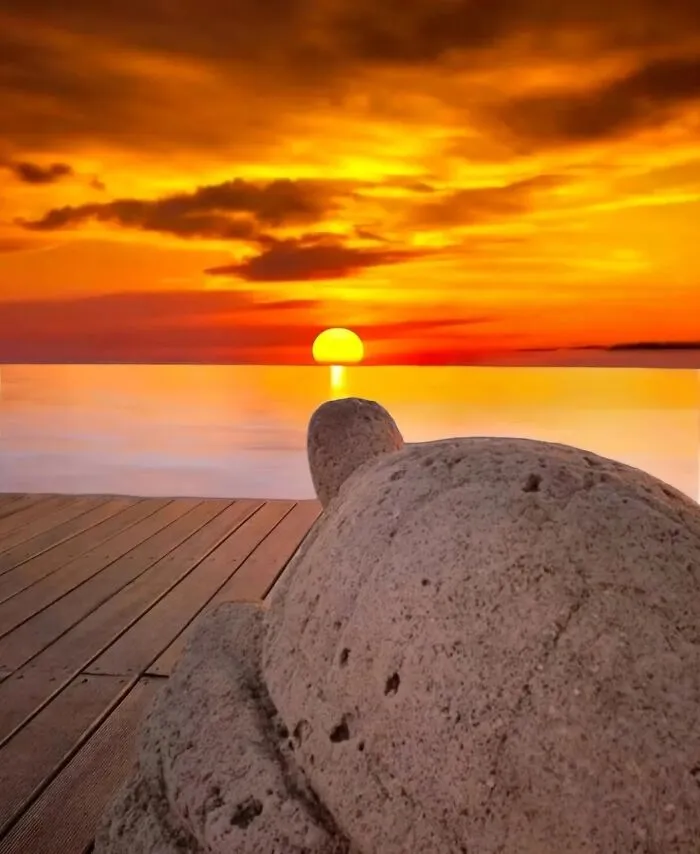 43 Jaw-Dropping Photos Shared By The ‘Best Sunset Pics’ Instagram Page