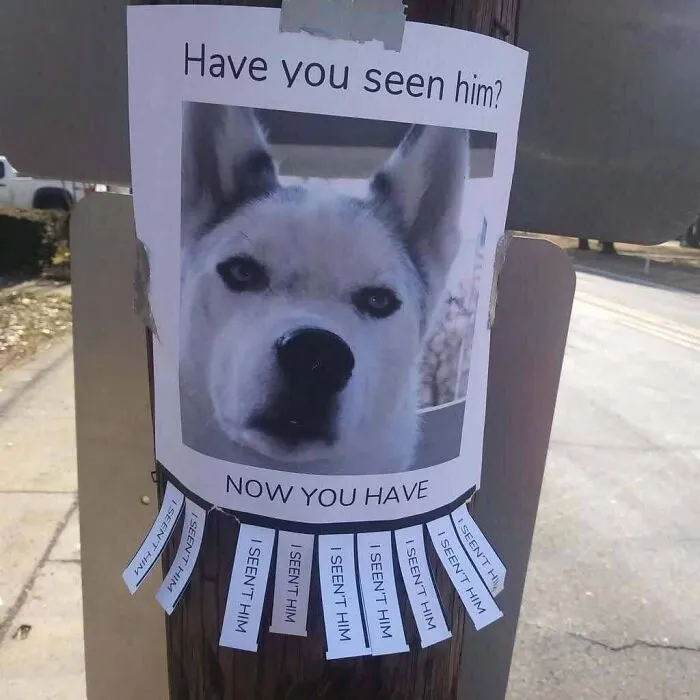 85 Irresistible Dog Moments Shared By This Community
