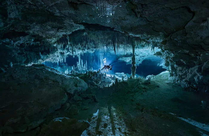 The Most Stunning Nature Photos Of 2025, According To The IPA Awards