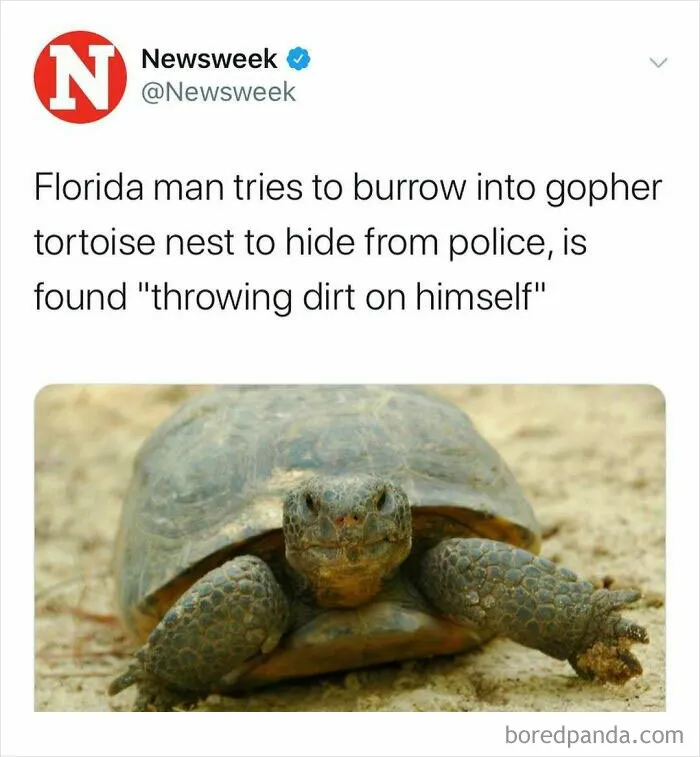 87 Wild, Bizarre And Unhinged News Stories That Might Have You Thinking, “Only In America”