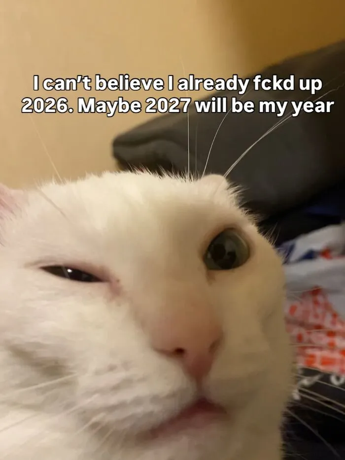 45 Feel-Good Memes From 'A Cat Named Snowflake'