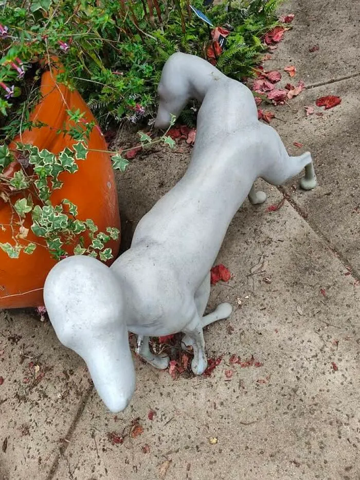 Two-Headed Dog Found With The Yard Sculptures At Just Thriftin In Capitola