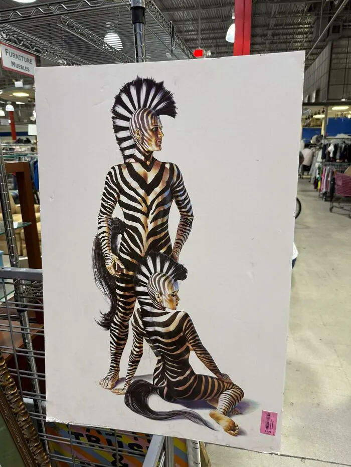 Somewhere, A Couple Broke-Up And This Was The Only Thing Neither Of Them Wanted. Found And Left At Super Thrift In West Palm Beach