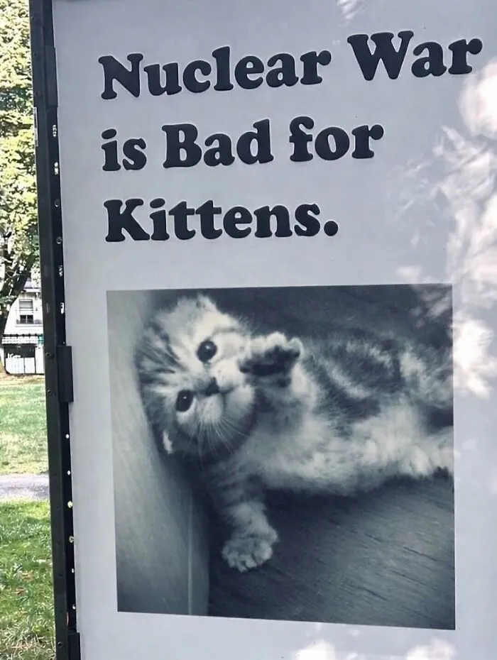 This Page Is Dedicated To Cats With Attitude, And Here Are 65 Of Their Best Moments