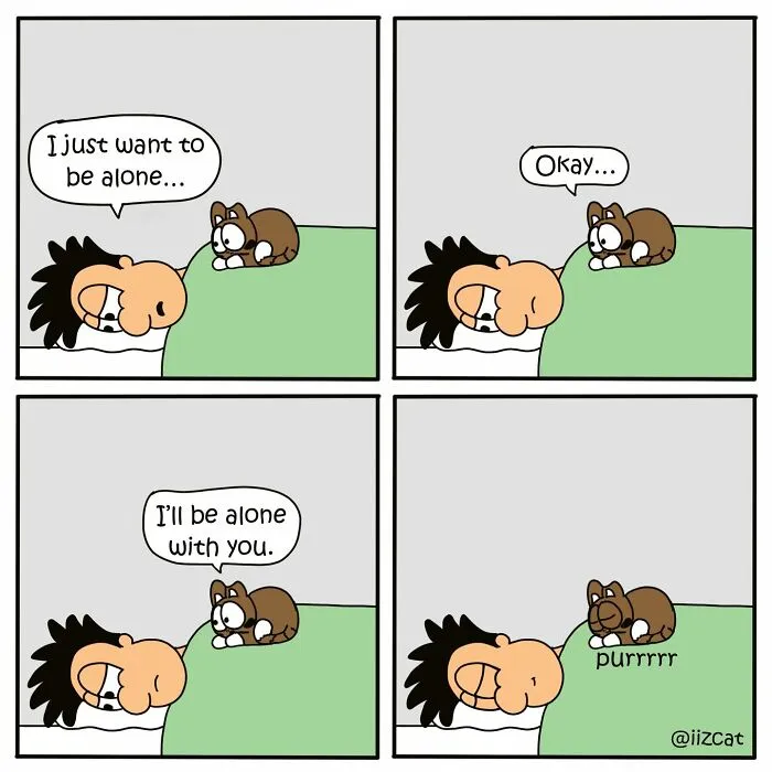 This Cartoonist Turns Everyday Cat Nonsense Into Hilarious Comics (29 New Comics)