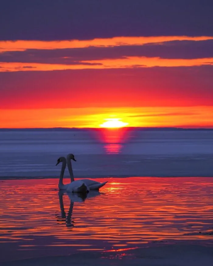 43 Jaw-Dropping Photos Shared By The ‘Best Sunset Pics’ Instagram Page