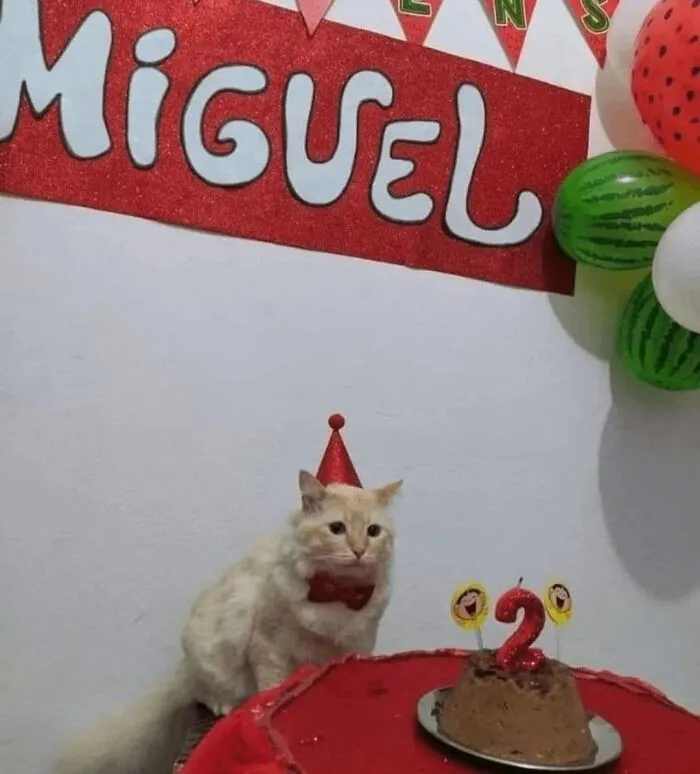 These 60 Animal Pics Are The Mood Boost We All Needed Today