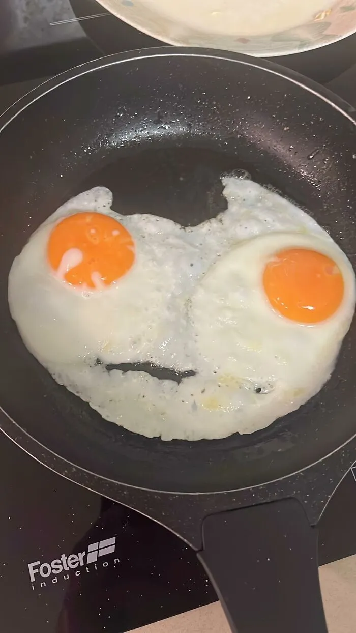 90 Hilarious Cases Of Pareidolia That People Couldn’t Pass Up (New Pics)