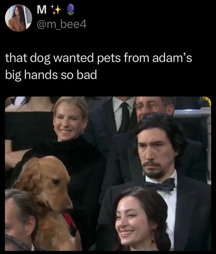30 Funny Tweets For Anyone Who’s Tired Of The Depressing News