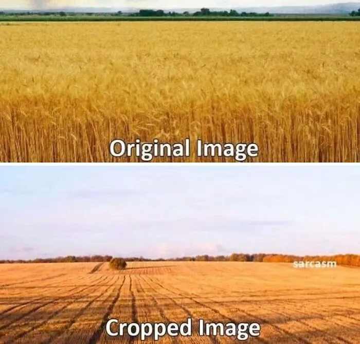 50 Random Memes For Anyone Who Needs A Pick-Me-Up Today (New Pics)