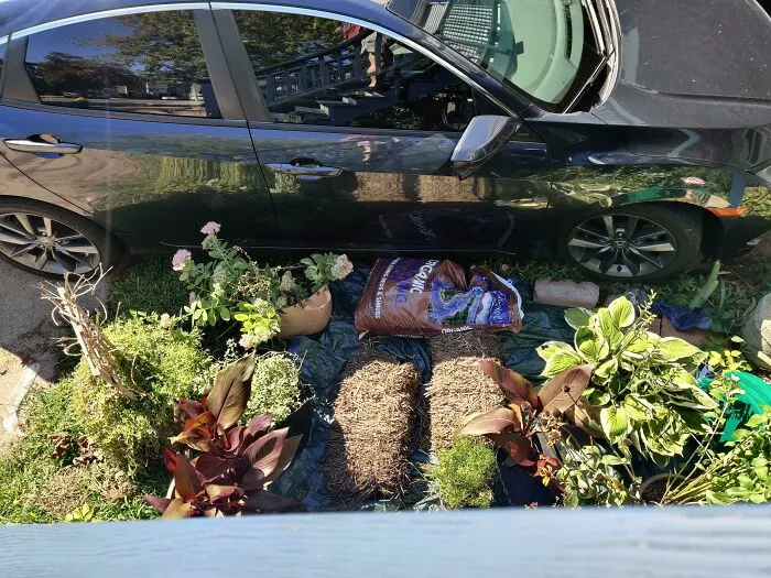 Mi vecina sigue aparcando su coche encima de mi jardín en lugar de en su entrada porque le da pereza meter los cubos de basura.