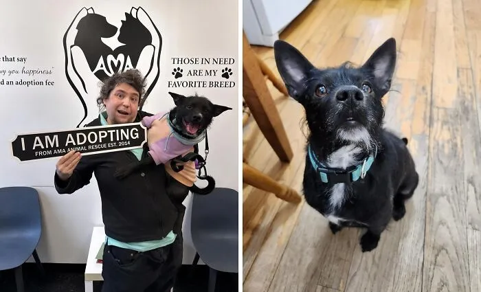 Toto