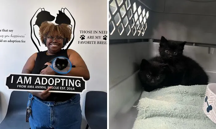 Heartwarming Before-And-After Photos Show How Love Transforms Rescued Animals At Ama Animal Rescue