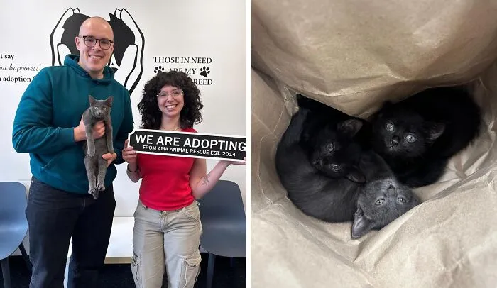 Two happy adopters holding a cat and adoption sign next to image of three black kittens in a paper bag, showcasing adopted animals.