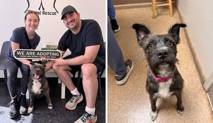 Happy adopted dog with new owners at an animal rescue, showcasing the impact of second chances for adopted animals.