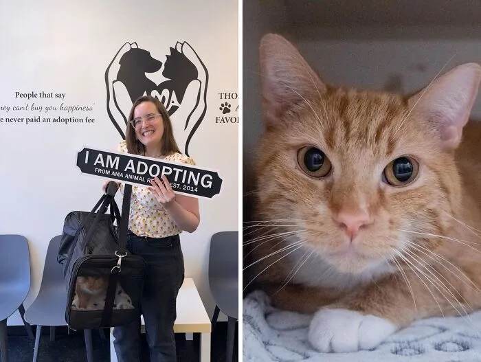 Heartwarming Before-And-After Photos Show How Love Transforms Rescued Animals At Ama Animal Rescue