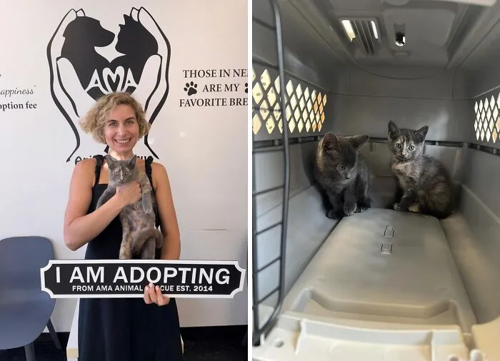 Smiling woman holding a rescued cat with adoption sign next to two kittens in a pet carrier, showing adopted animals.