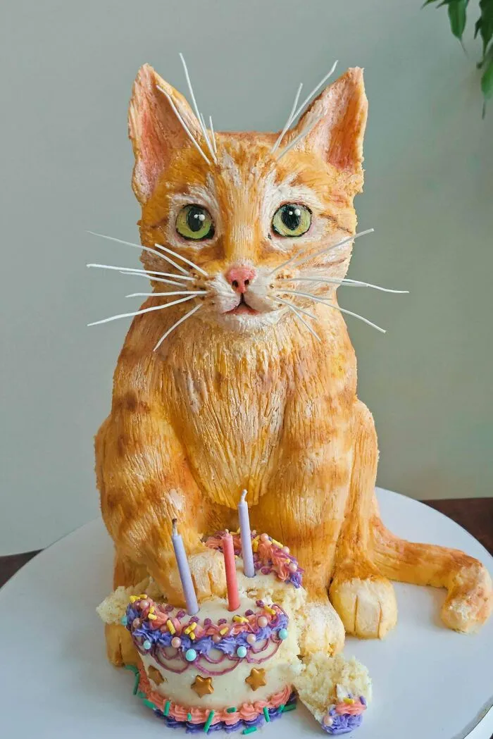 This Years Cat Birthday Cake I Made For My Sister :)