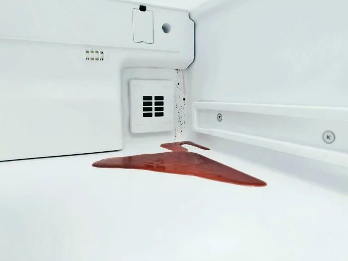 Un tarro de remolacha se derramó en la nevera y parece una película de Kubrick.