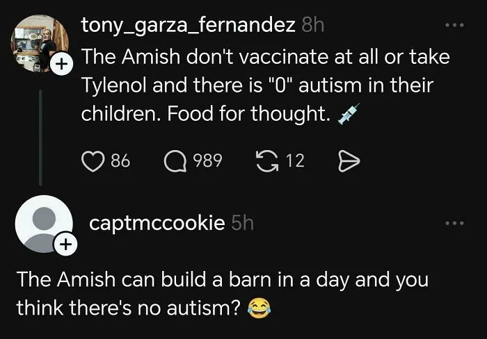 The Amish Can Build A Barn In A Day And You Think There's No Autism?