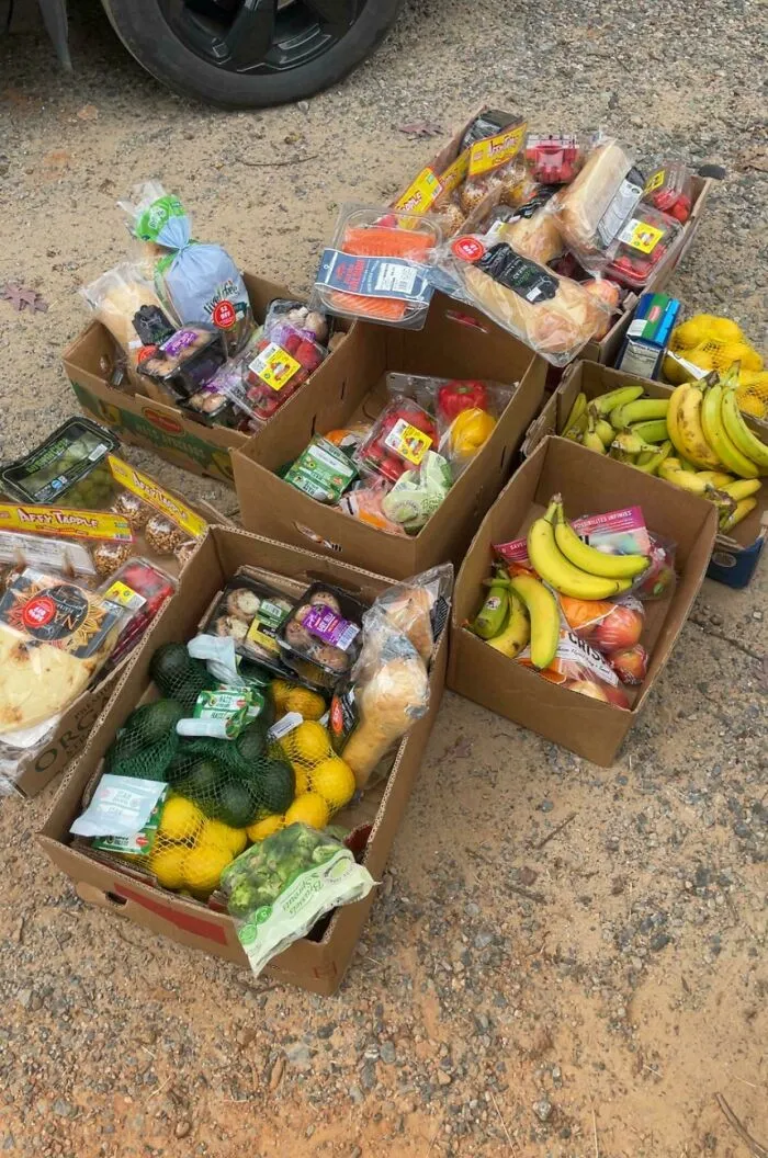 A pile of cardboard boxes filled with fresh produce, bread, and packaged food, demonstrating the luck of dumpster diving.