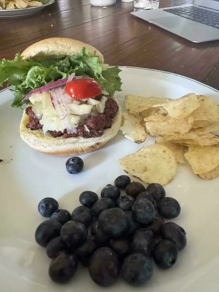 A plate with a burger, potato chips, and blueberries, a lucky meal after a successful dumpster diving adventure.