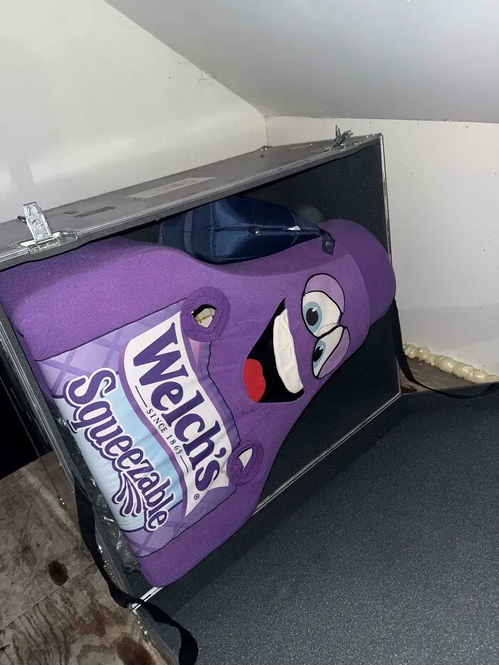 A large purple Welch's Squeezable grape jelly mascot costume, a unique and surprising find from dumpster diving, resting in an open case.