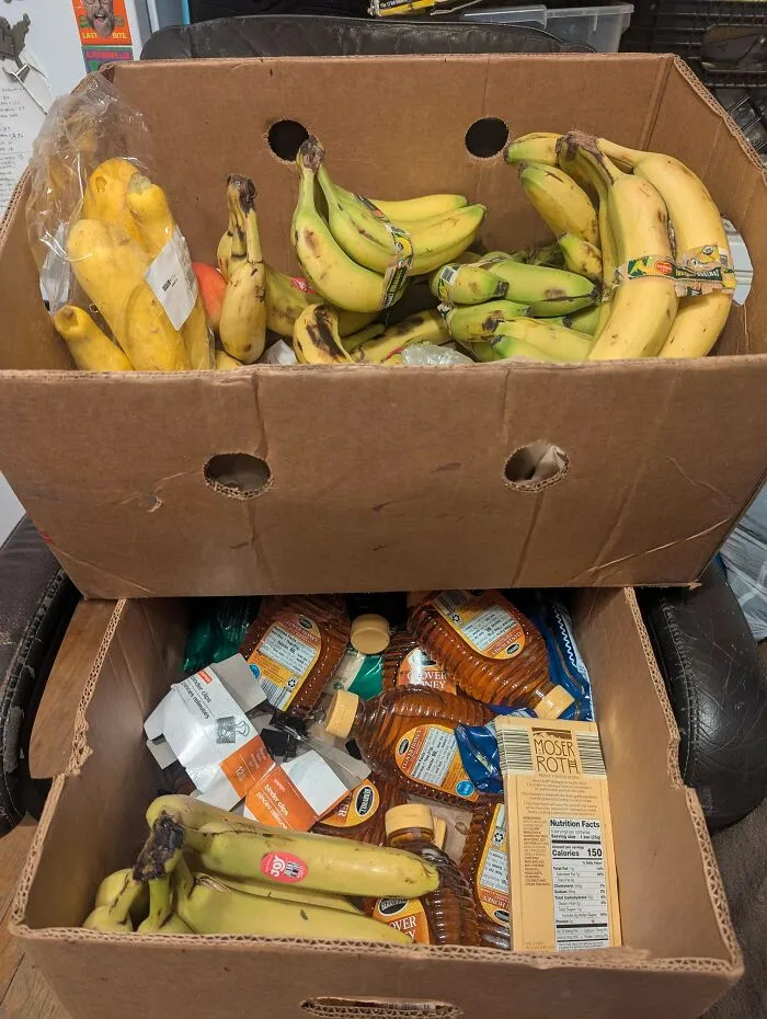 A bounty of bananas and honey in cardboard boxes, a lucky find while dumpster diving.