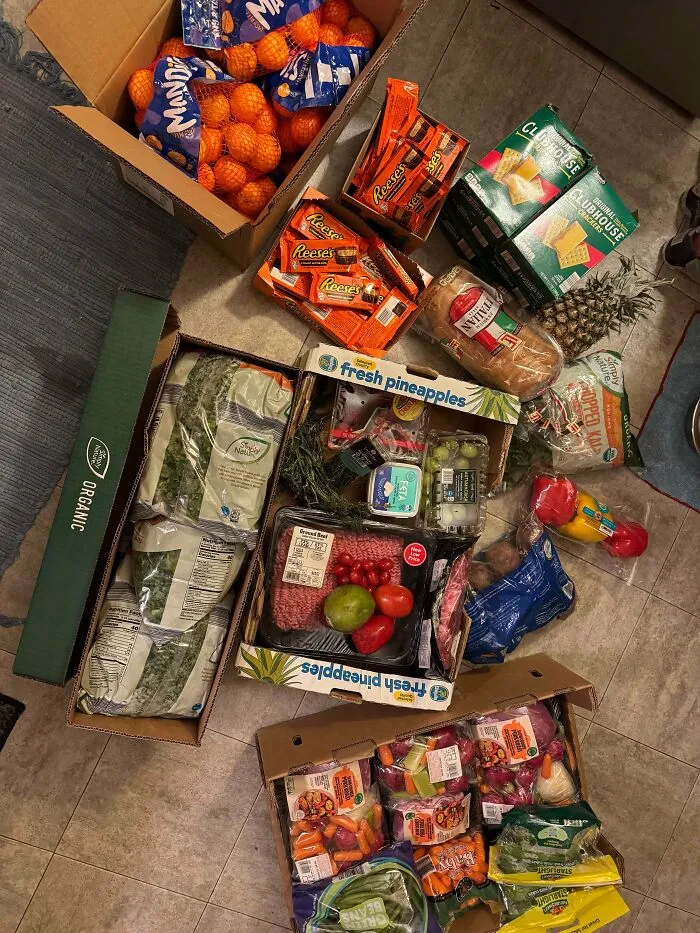 An abundance of groceries, including fruit, meat, and vegetables, acquired through dumpster diving.