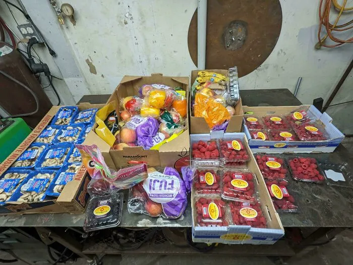 Boxes filled with fresh produce like mushrooms, raspberries, and apples, a lucky find from dumpster diving.