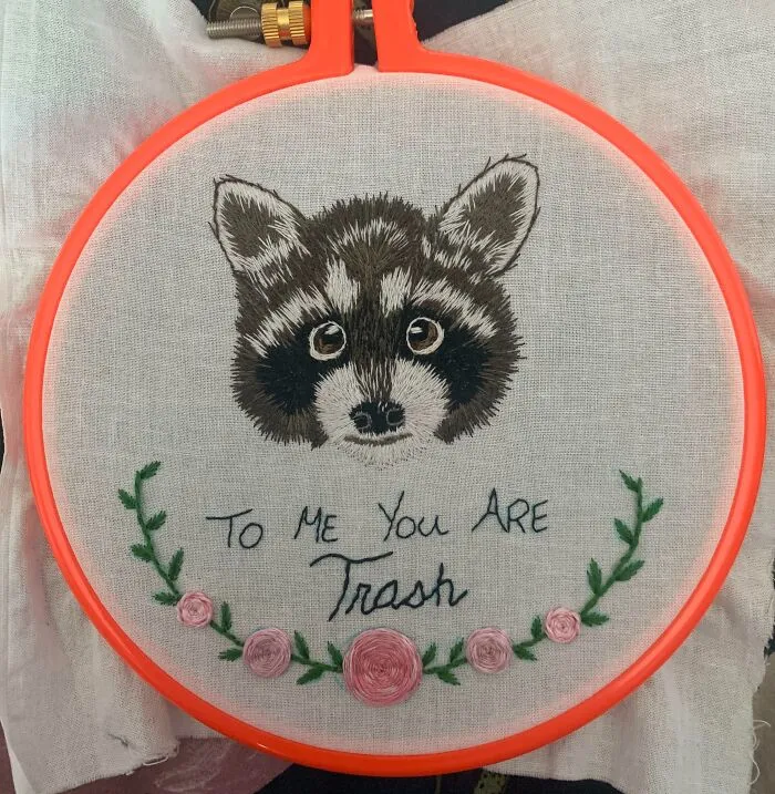 A Little Raccoon For A Friend Who Works In Wildlife Rehabilitation