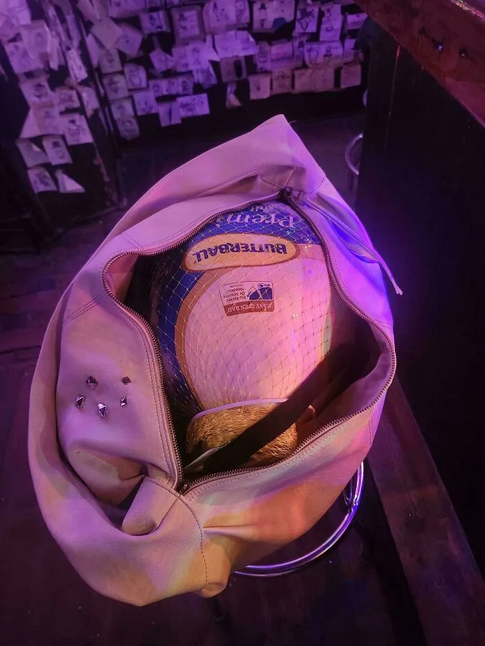The Chick Next To Me At The Bar Has A Whole Turkey In Her Purse